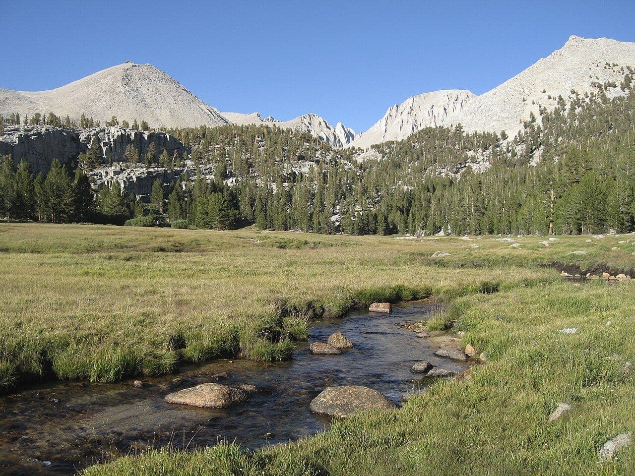 Whitney Creek winding through Crabtree Meadow