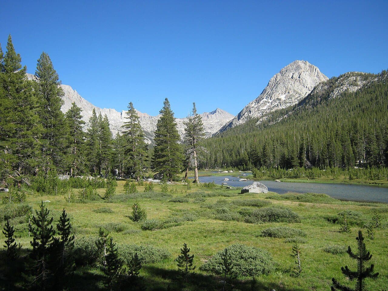 McClure Meadow and Evolution Creek in Evolution Valley
