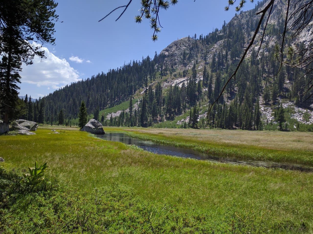 The Middle Fork Kings River winding through Grouse Meadows