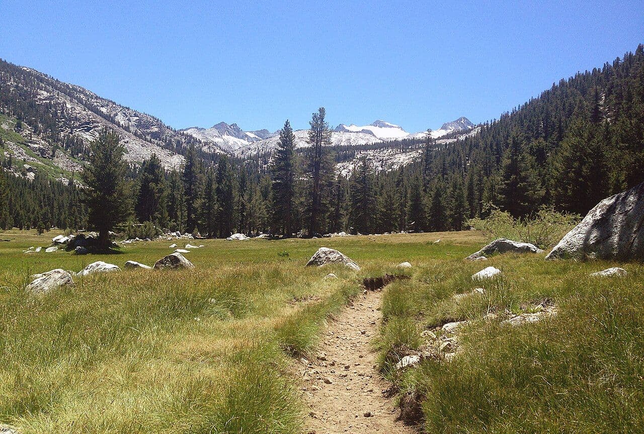 The John Muir Trail crossing the grassy floor of Lyell Canyon