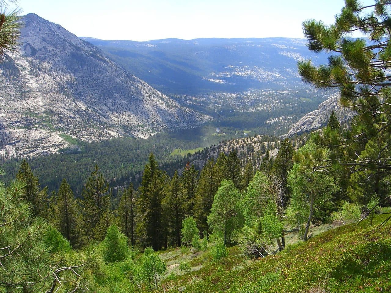 The South Fork San Joaquin valley at Muir Trail Ranch, seen from the trail above