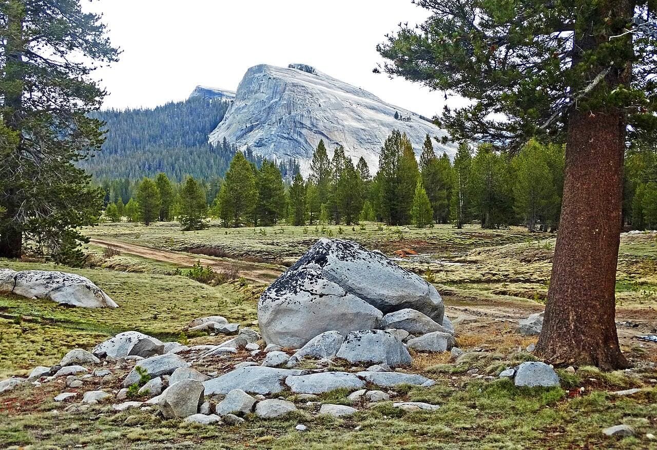 Granite boulders in Tuolumne Meadows with Lembert Dome behind