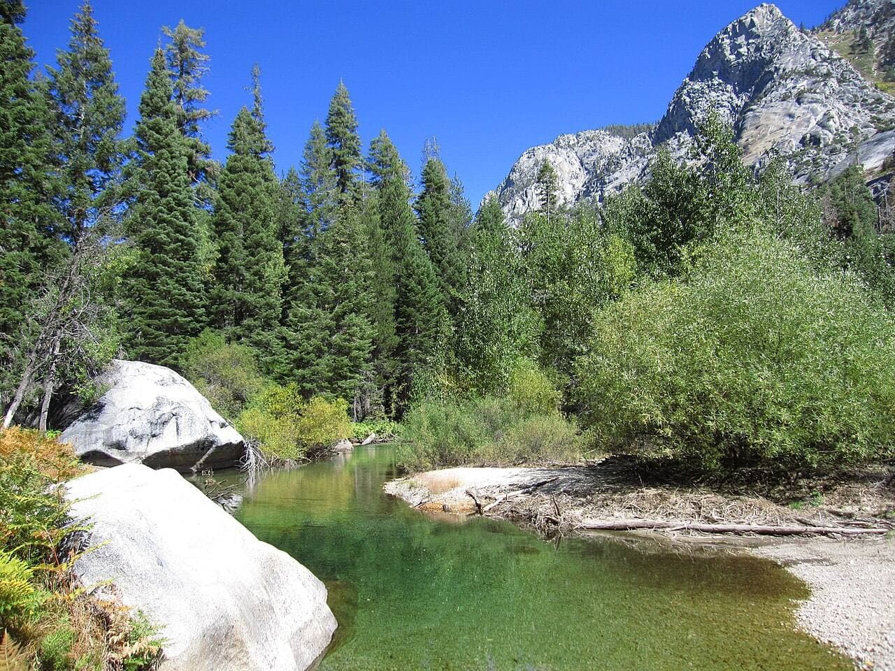 The South Fork Kings River in Paradise Valley