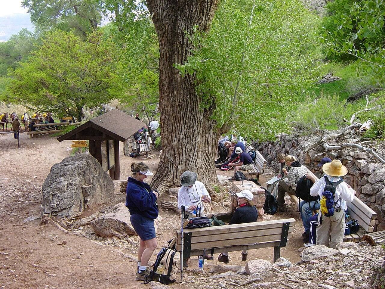 Hikers resting under a cottonwood at Havasupai Gardens
