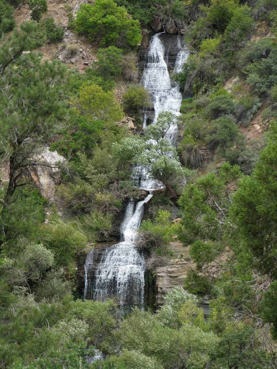 Roaring Springs cascading down a green cliff