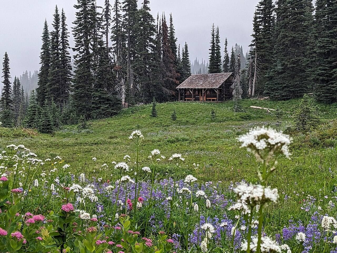 Wildflowers and the patrol cabin at Indian Henry's Hunting Ground