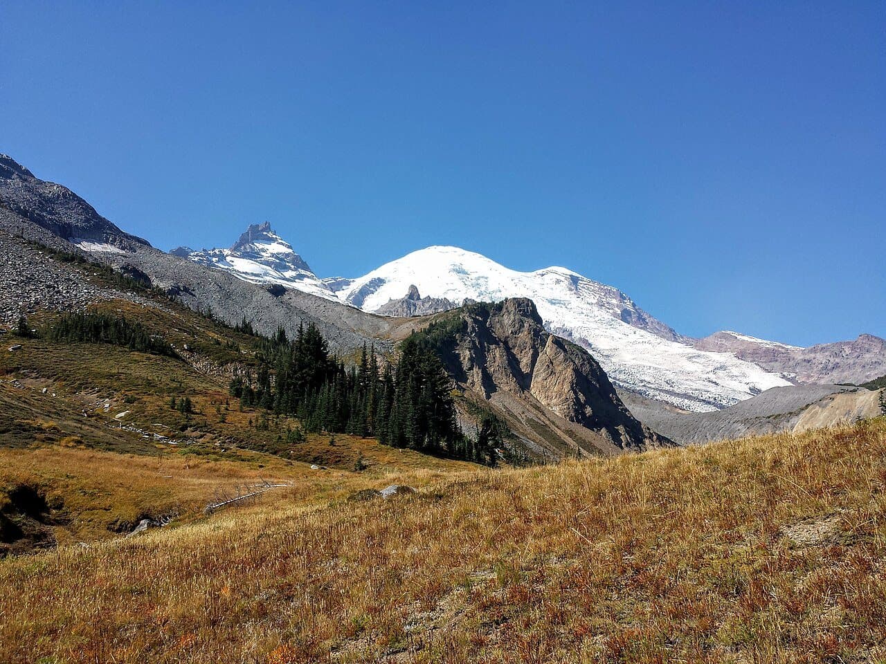Autumn meadows at Summerland below Mount Rainier