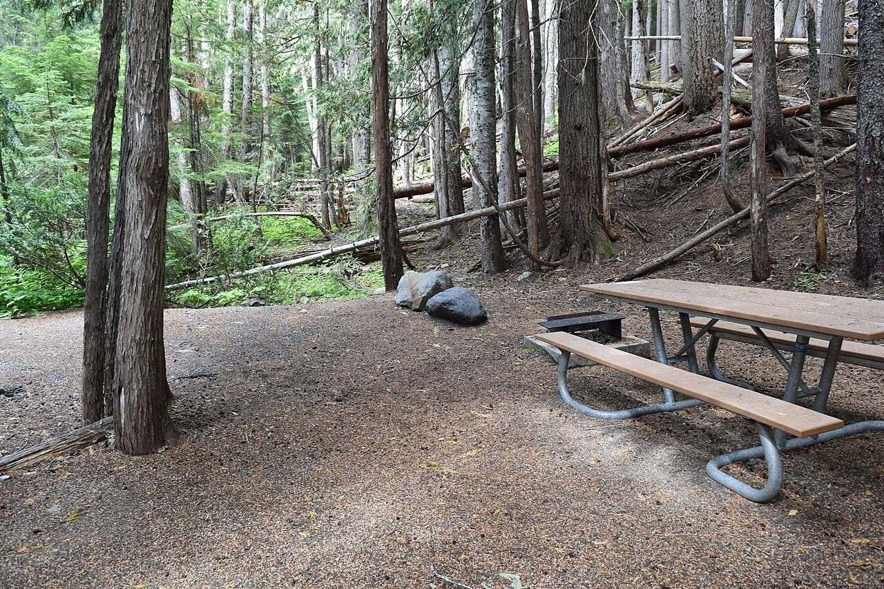 A campsite among tall trees at White River Campground
