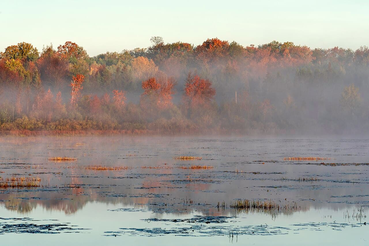 BWCAW Quota Permit — Fall Lake (EP24) wilderness permit area in Boundary Waters Canoe Area Wilderness - backcountry hiking destination