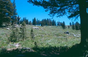 Blue Lakes Trailhead Permit wilderness permit area in Mokelumne Wilderness - backcountry hiking destination