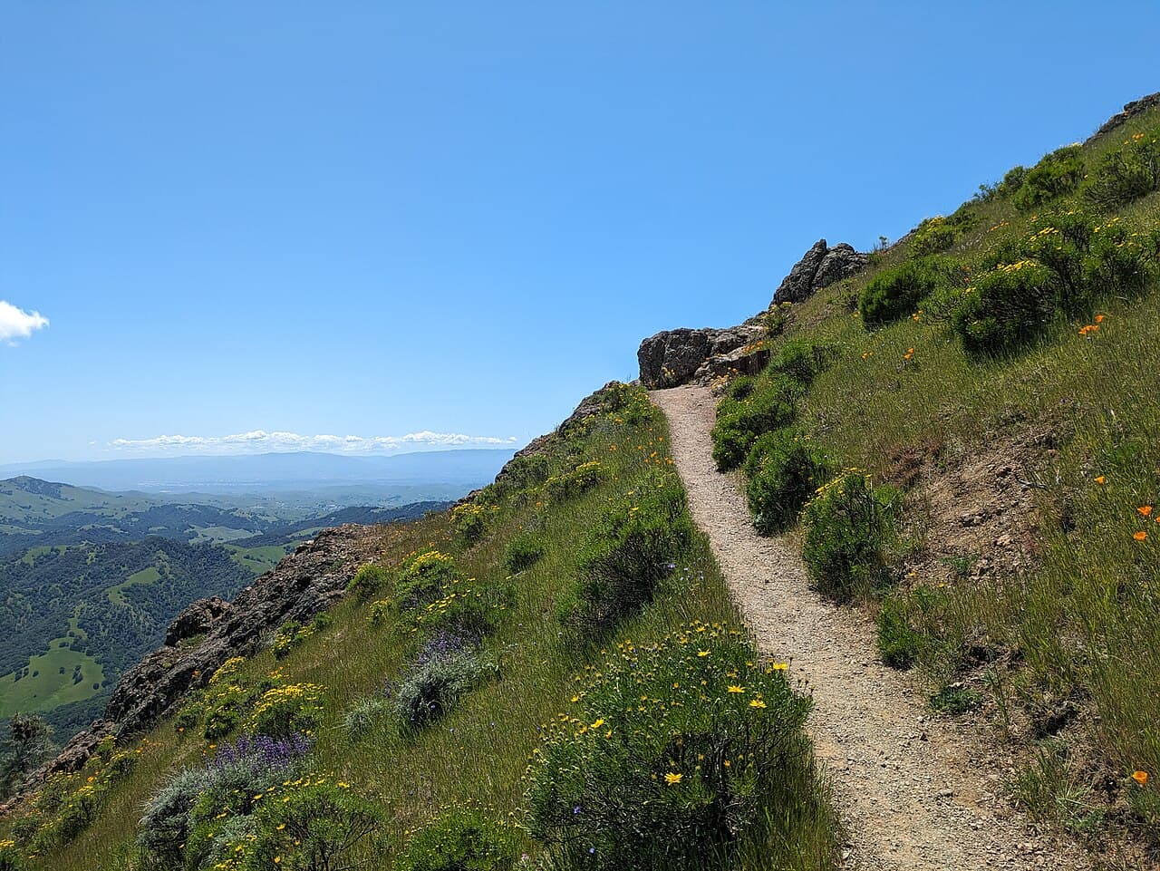 Juniper Campground wilderness permit area in Mount Diablo State Park - backcountry hiking destination
