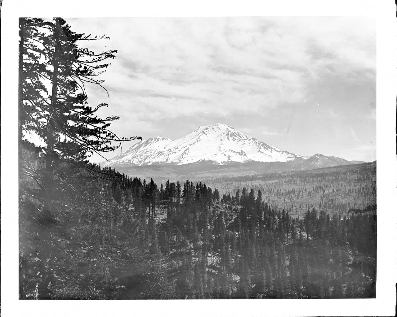 Mt. Shasta Wilderness Permit wilderness permit area in Mount Shasta Wilderness - backcountry hiking destination