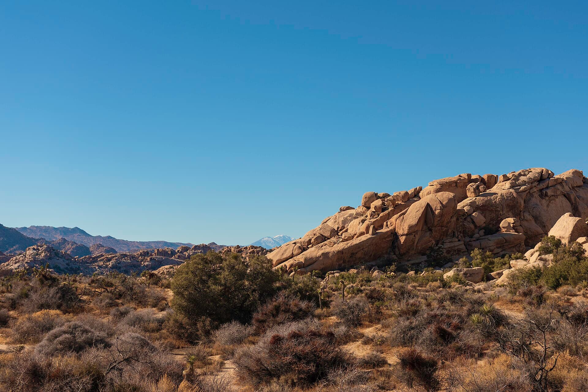 Momyer Creek Trailhead Permit wilderness permit area in San Gorgonio Wilderness - backcountry hiking destination