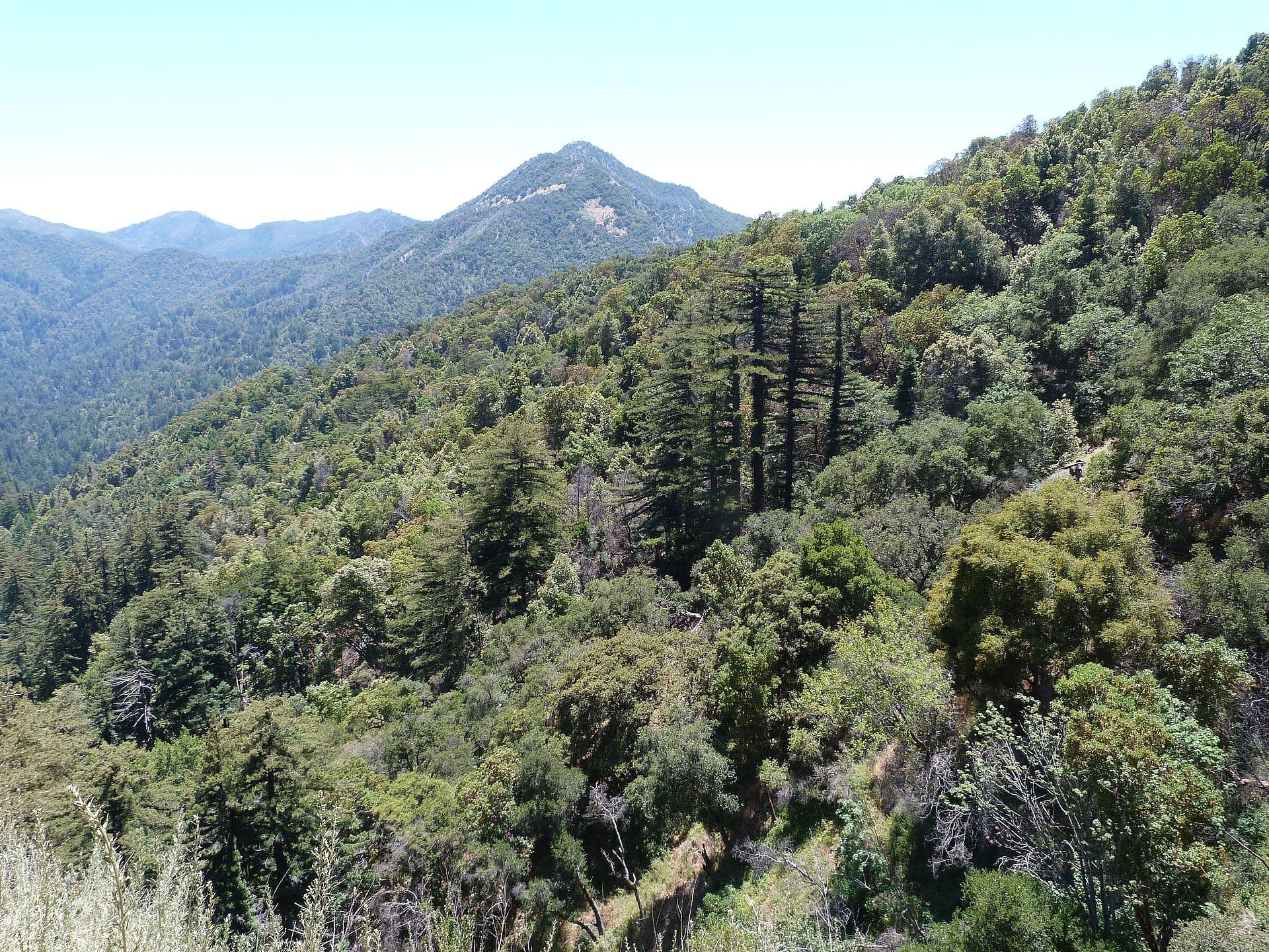 Buckeye Trail / Hot Springs wilderness permit area in Los Padres National Forest - backcountry hiking destination