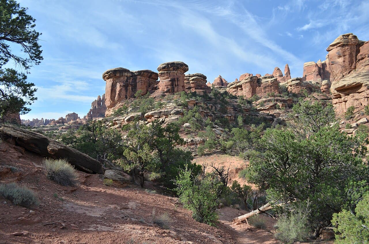 Canyonlands Needles — Elephant Canyon wilderness permit area in Canyonlands National Park - backcountry hiking destination