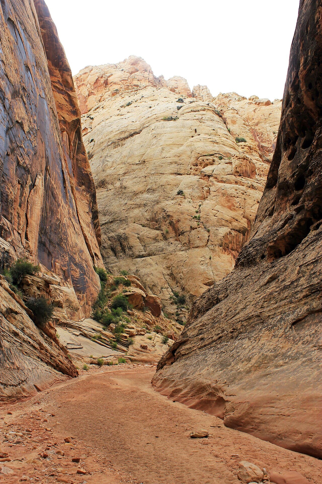 Capitol Reef — Grand Wash wilderness permit area in Capitol Reef National Park - backcountry hiking destination