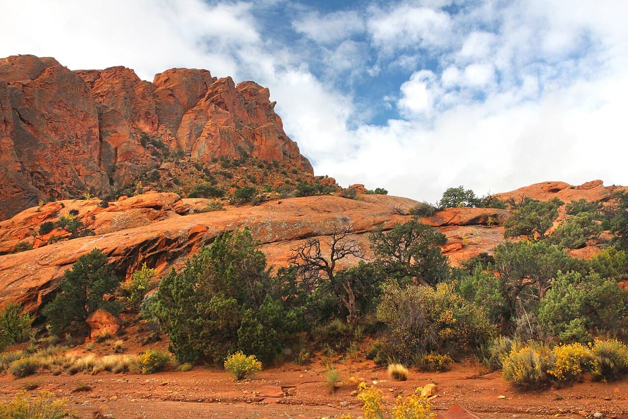 Capitol Reef — Upper Muley Twist Canyon wilderness permit area in Capitol Reef National Park - backcountry hiking destination
