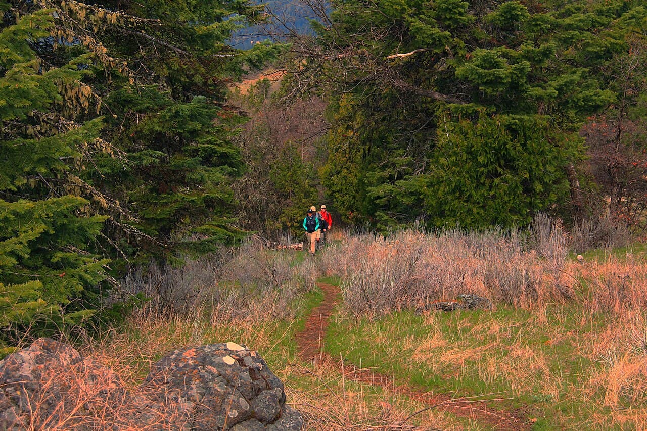 Central Cascades Day-Use — PCT Breitenbush wilderness permit area in Central Cascades Wilderness - backcountry hiking destination