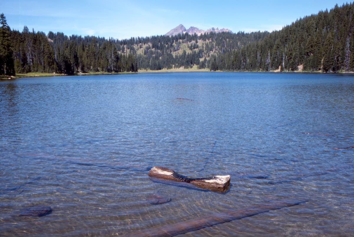 Central Cascades Day-Use — Todd wilderness permit area in Central Cascades Wilderness - backcountry hiking destination