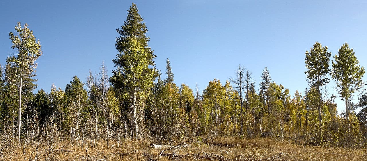 Desolation Wilderness Permit — Lyons Creek wilderness permit area in Desolation Wilderness - backcountry hiking destination