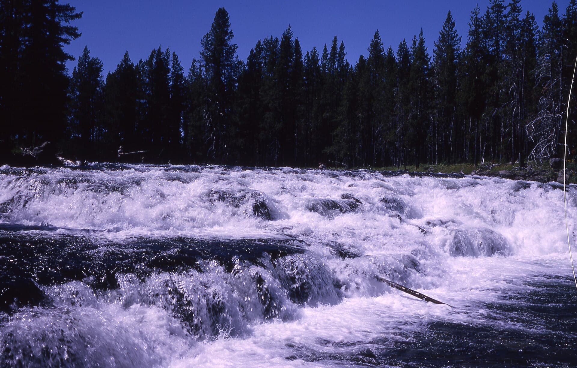 Bechler River Area permit area in Yellowstone National Park - backcountry hiking destination