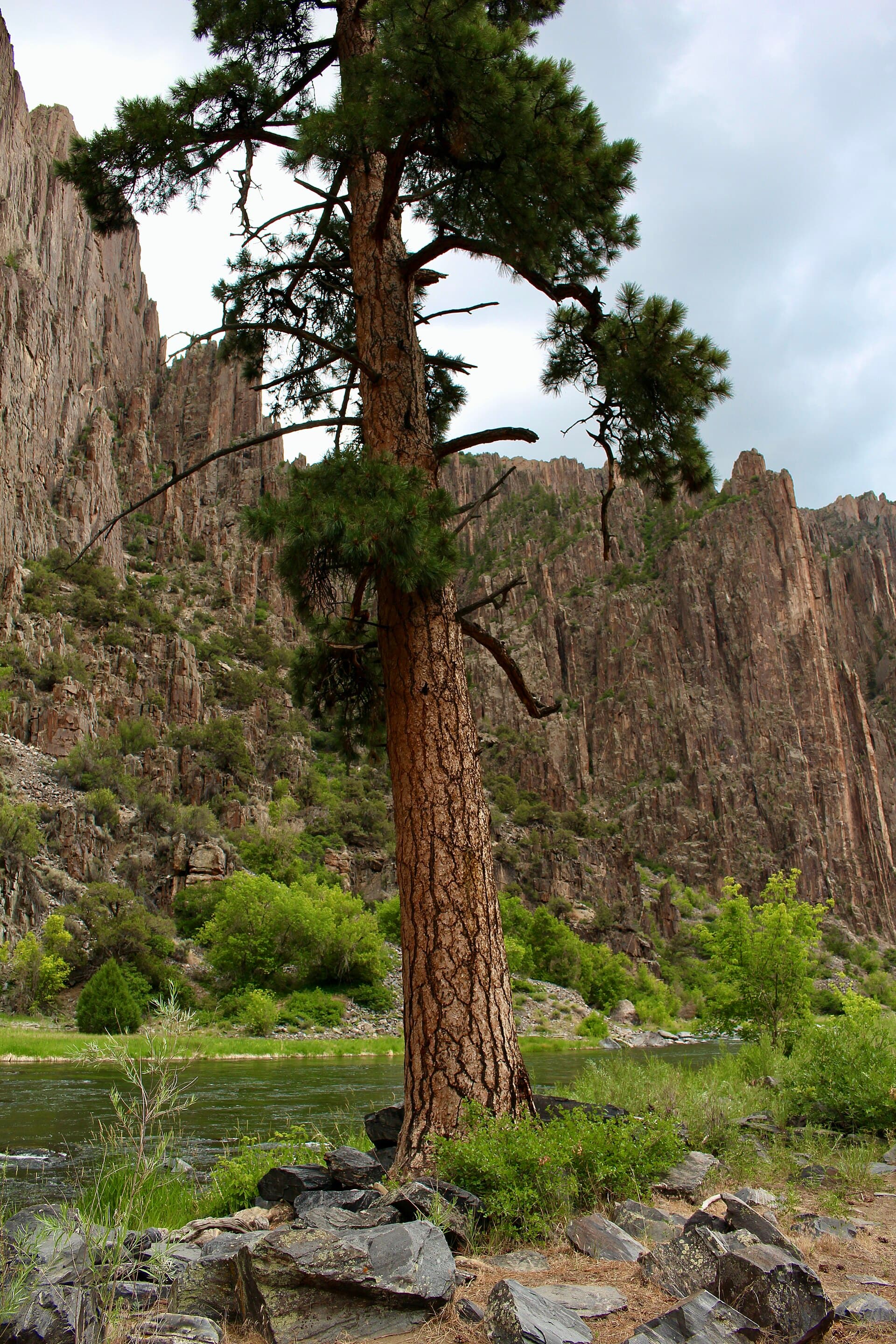 Black Canyon Red Rock Canyon Wilderness Permit permit area in Black Canyon of the Gunnison National Park - backcountry hiking destination