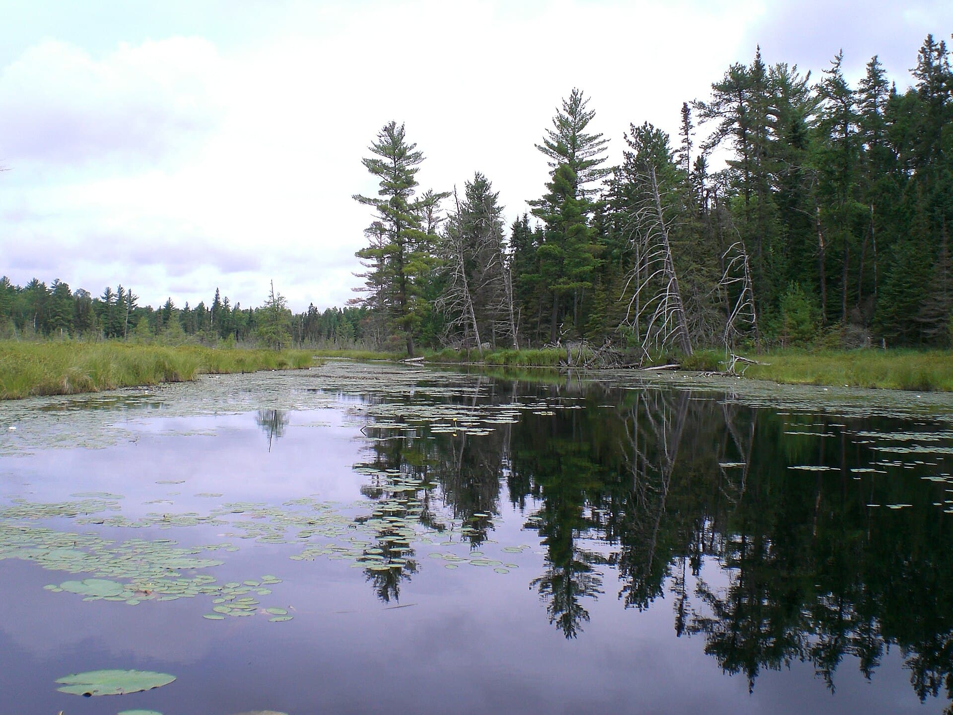 BWCAW Quota Permit — Brule Lake (EP41) permit area in Boundary Waters Canoe Area Wilderness - backcountry hiking destination