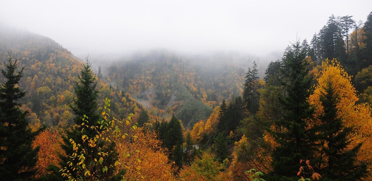 AT Thru-hiker Permit wilderness permit area in Great Smoky Mountains National Park - backcountry hiking destination