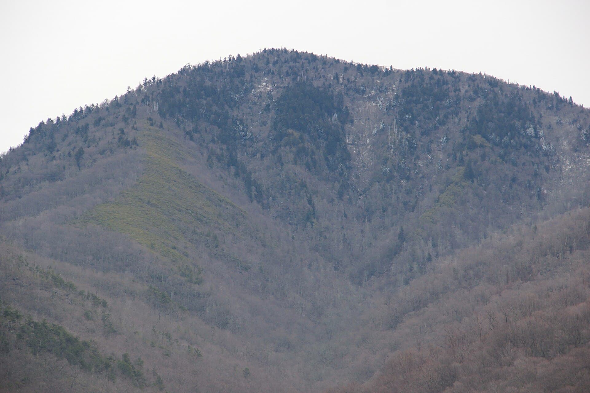Mount LeConte Shelter permit area in Great Smoky Mountains National Park - backcountry hiking destination
