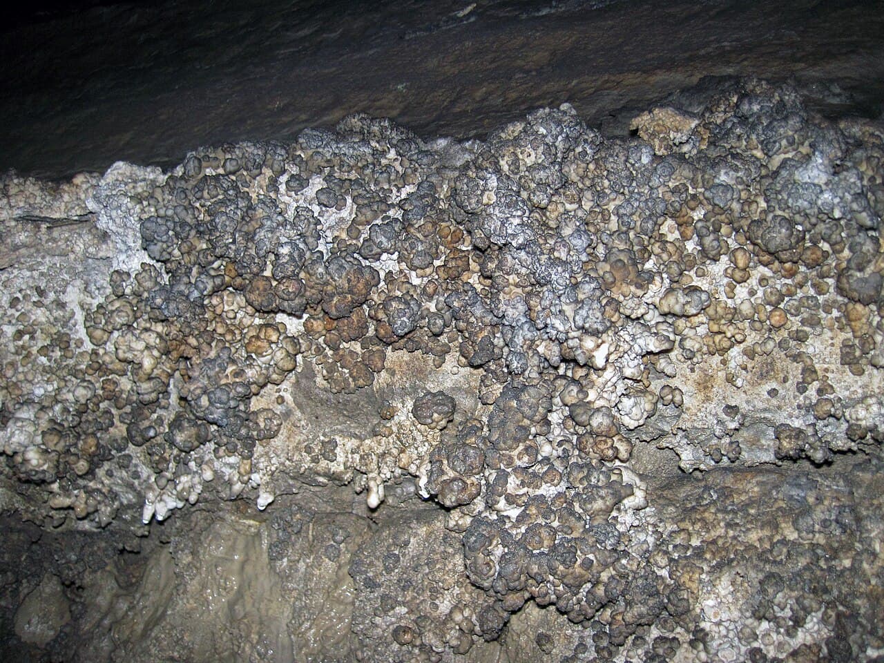 Inyo NF Wilderness Permit — Red Cones - Mammoth Pass wilderness permit area in Inyo National Forest - backcountry hiking destination