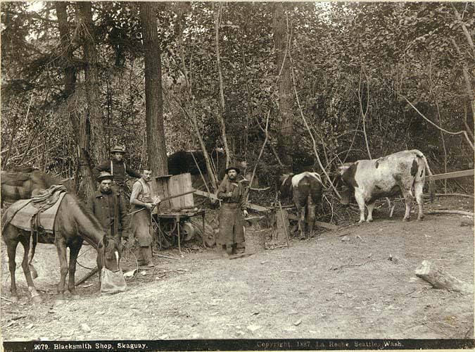 Inyo NF Wilderness Permit — Trail Pass wilderness permit area in Inyo National Forest - backcountry hiking destination