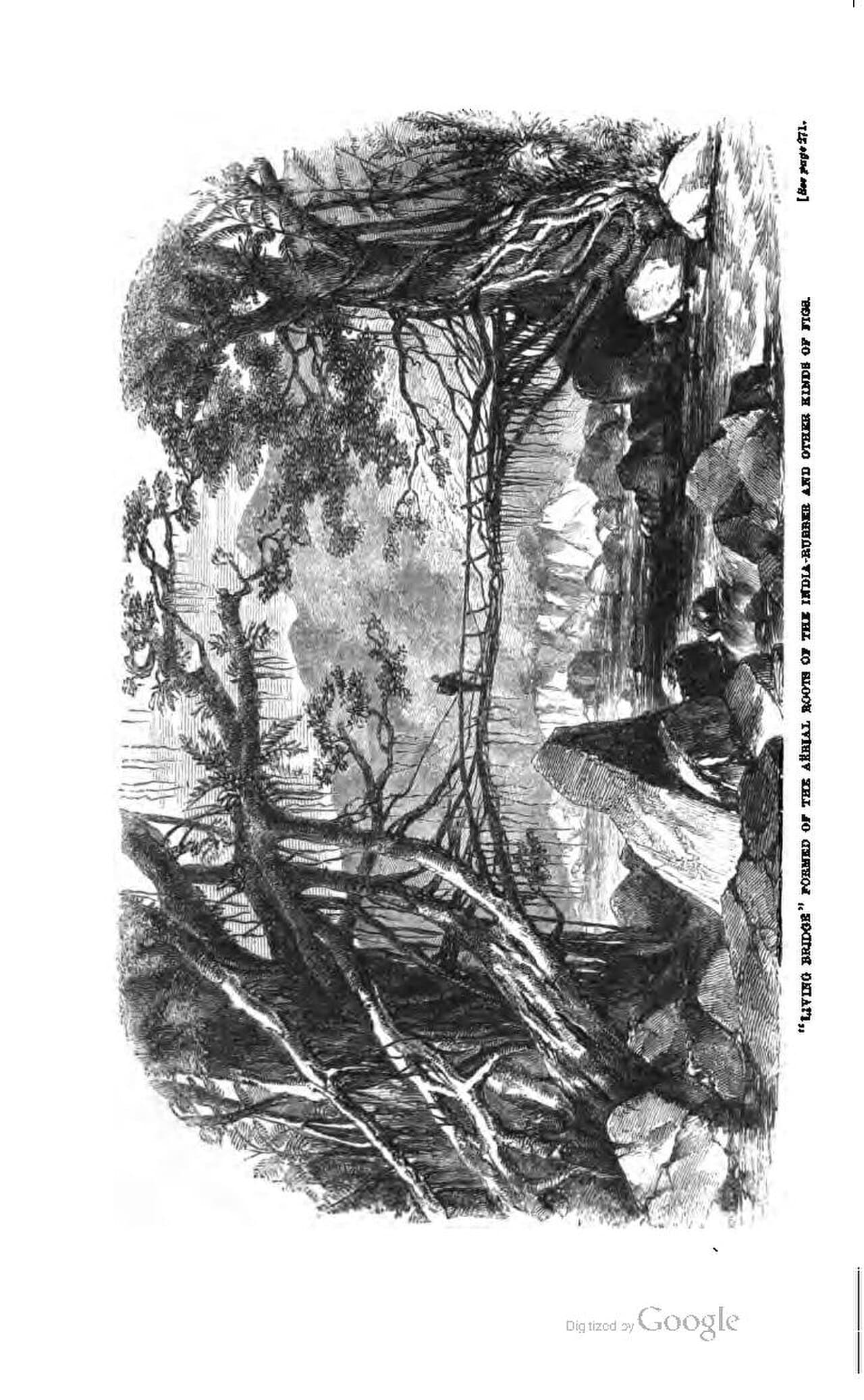 SEKI Wilderness Permit — Foothills — Farewell Gap wilderness permit area in Sequoia & Kings Canyon National Parks - backcountry hiking destination