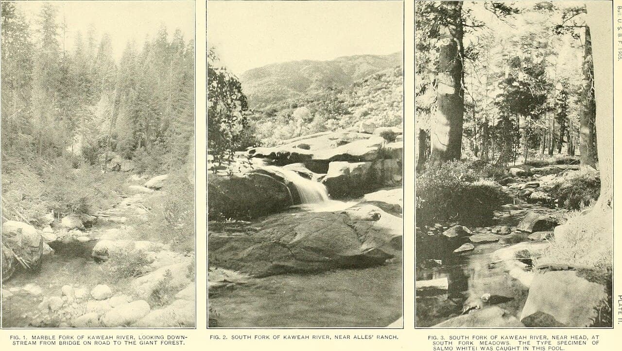 SEKI Wilderness Permit — Lodgepole — North Fork Kaweah wilderness permit area in Sequoia & Kings Canyon National Parks - backcountry hiking destination