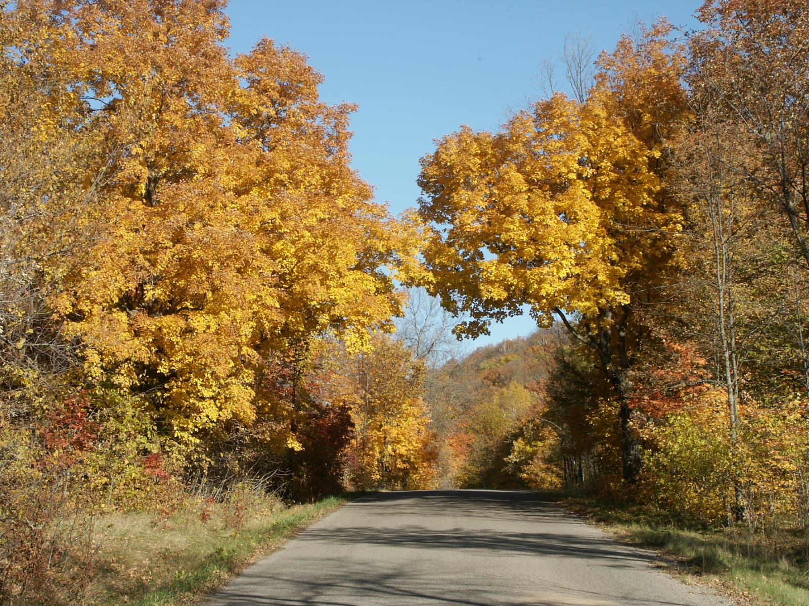 Maplewood Boat-In Site permit area in Maplewood State Park (MN) - backcountry hiking destination
