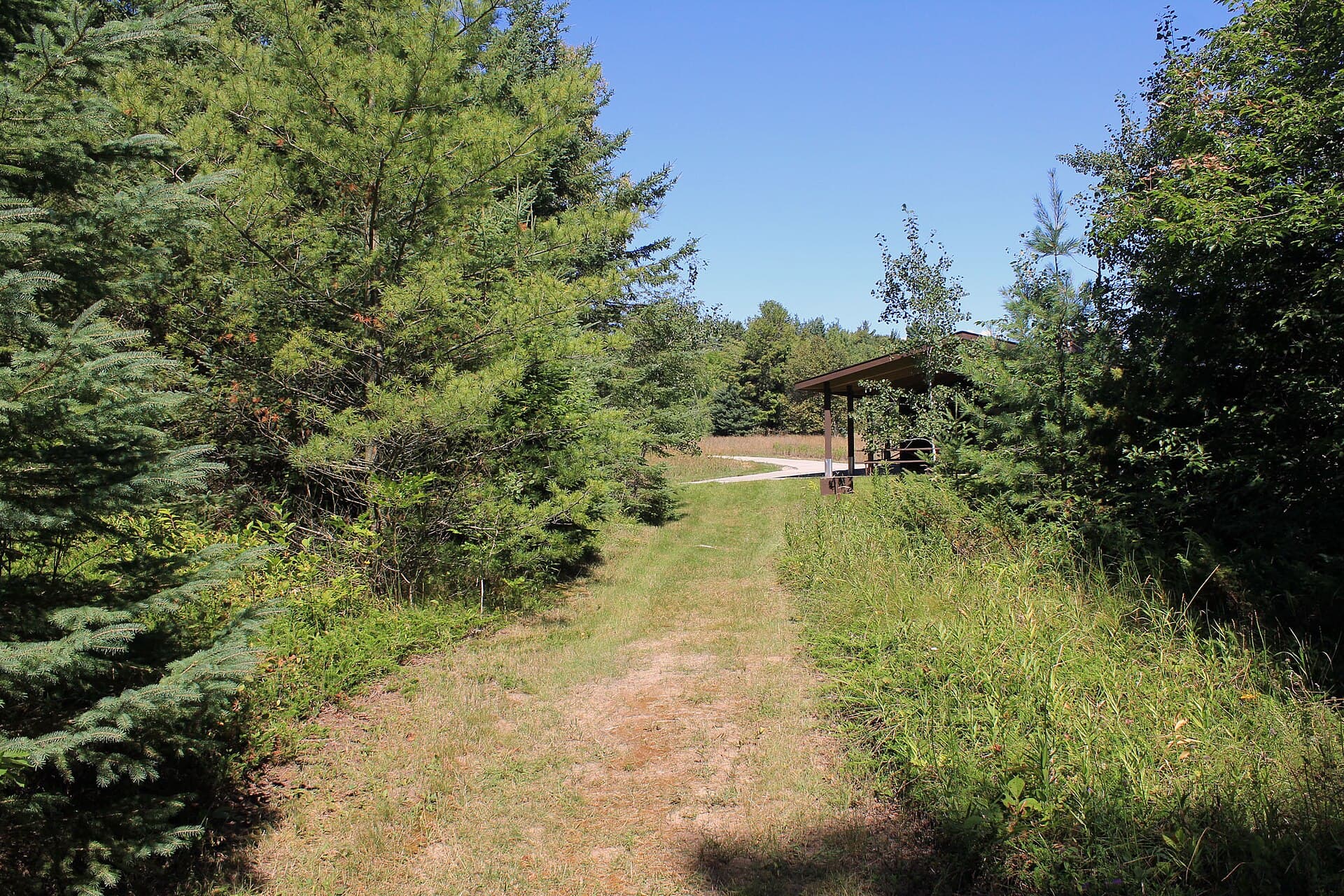 Newport Wilderness Campsites permit area in Newport State Park (WI) - backcountry hiking destination