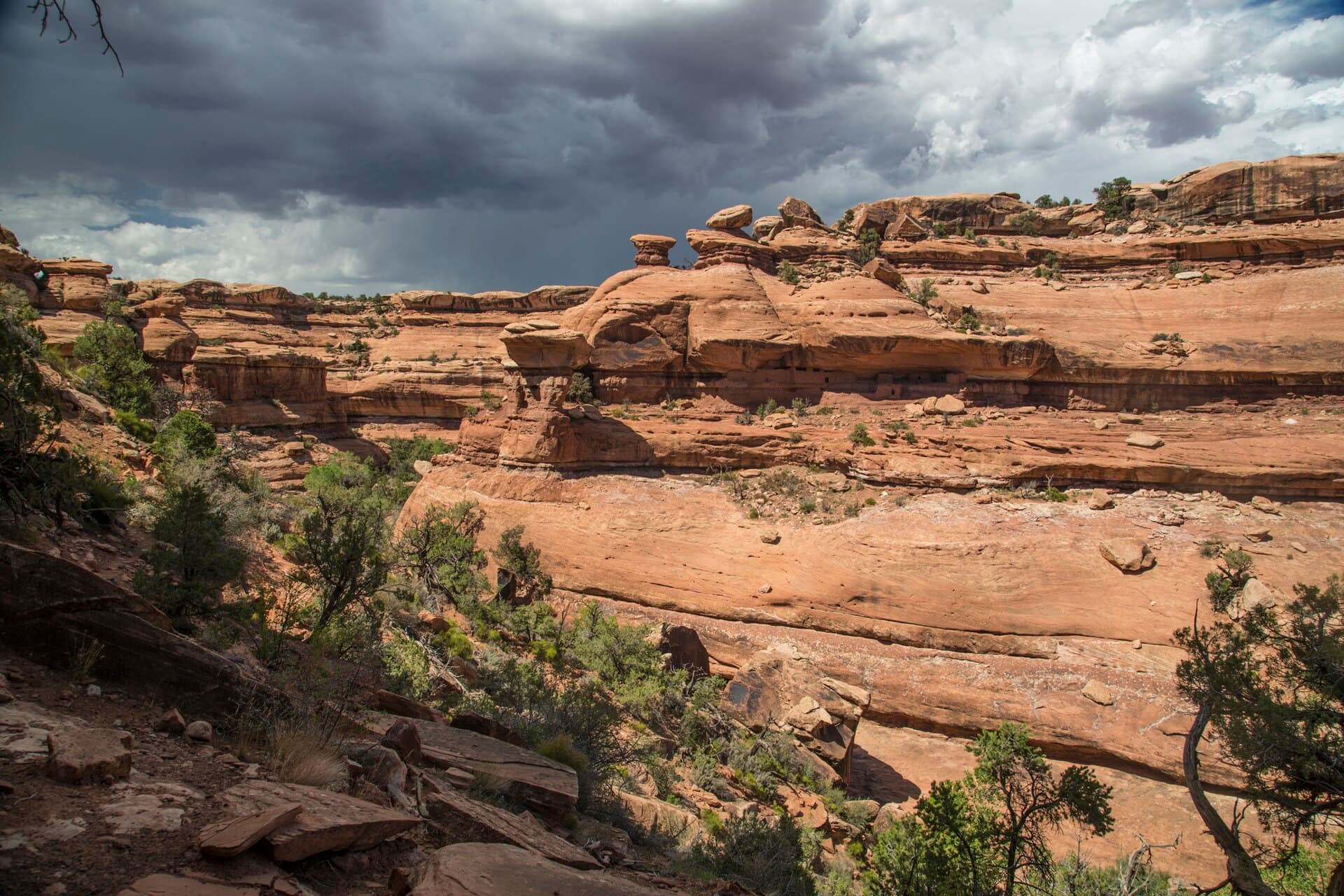 Moon House Day Hiking Permit permit area in Cedar Mesa / Bears Ears - backcountry hiking destination