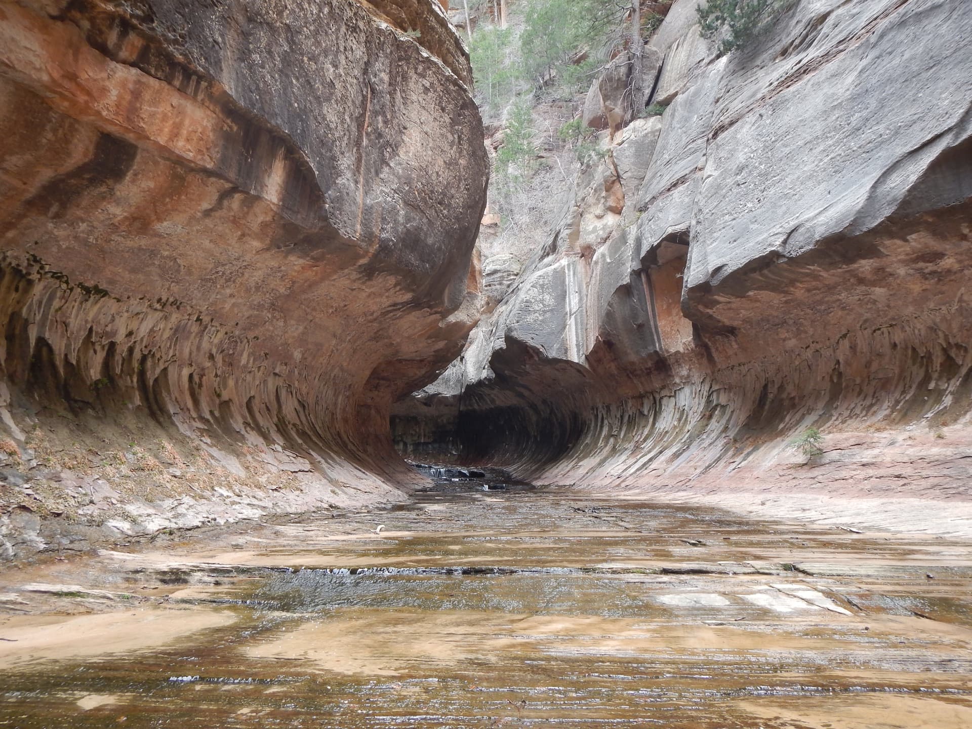 The Subway slot canyon in Zion National Park