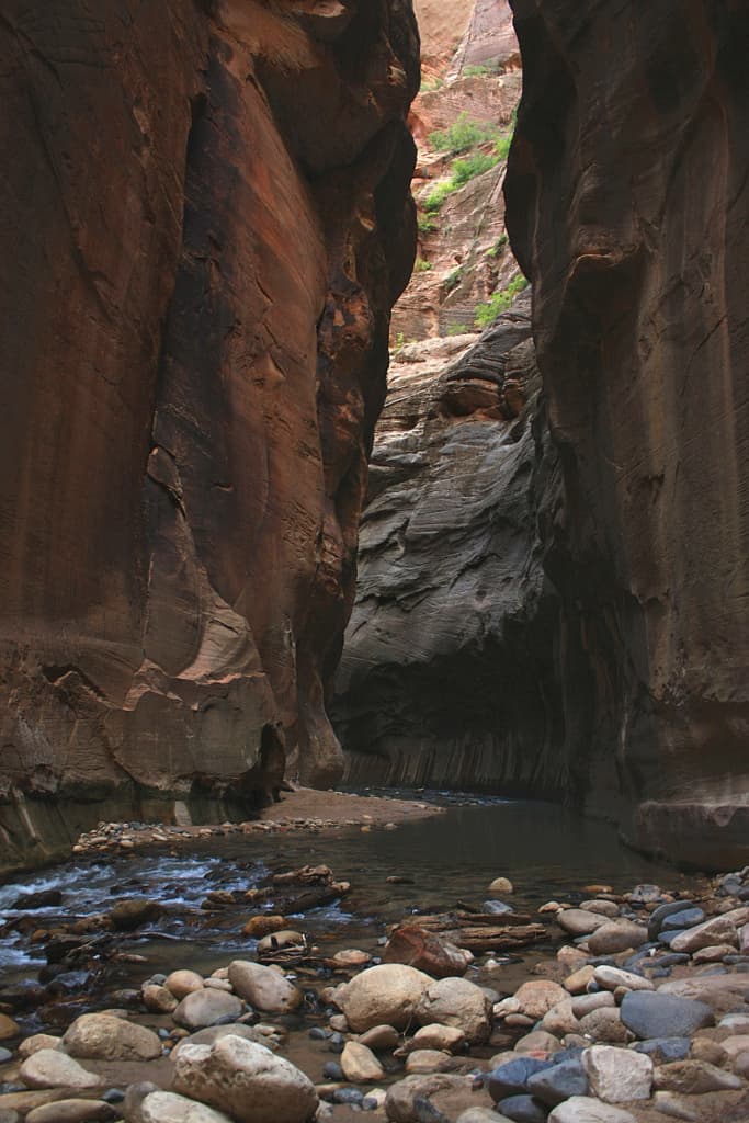 The Narrows slot canyon in Zion National Park