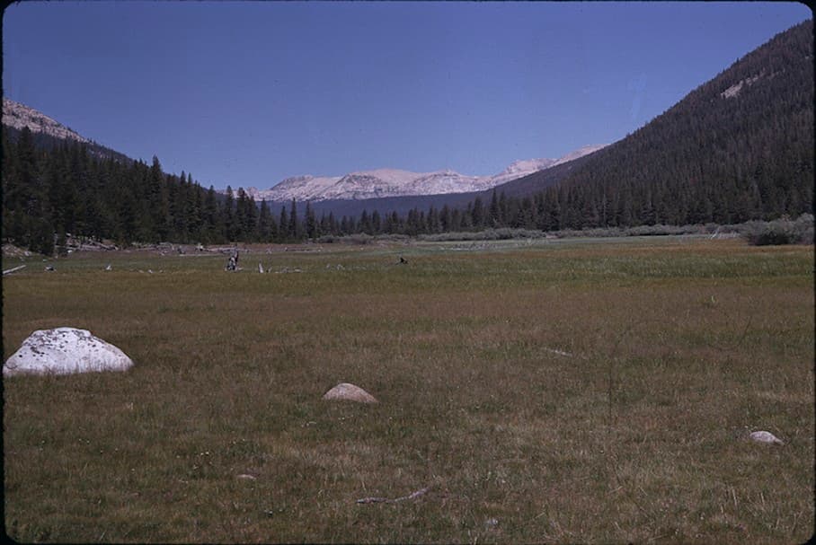 Yosemite Wilderness Permit — Lyell Canyon (no Donohue Pass) wilderness permit area in Yosemite National Park - backcountry hiking destination