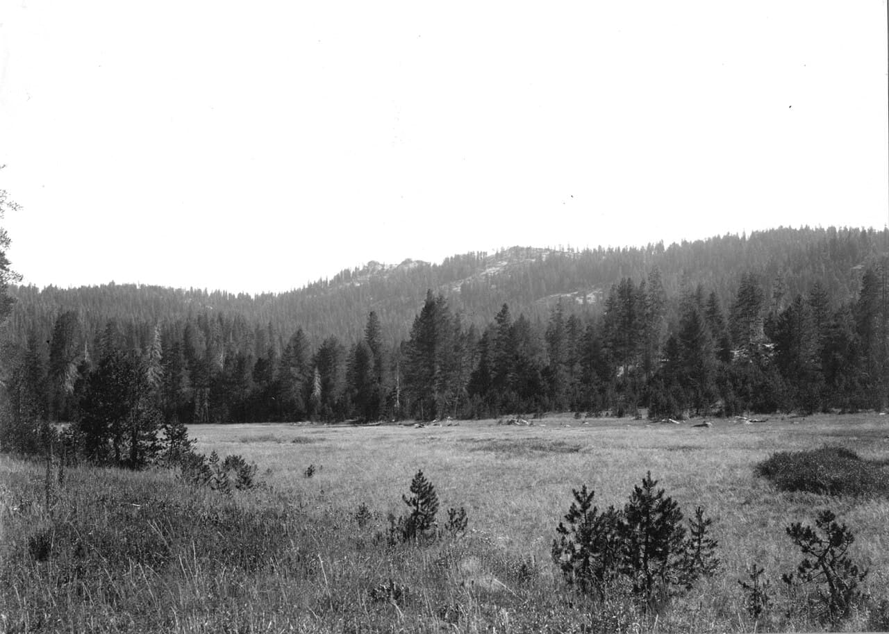 Yosemite Wilderness Permit — McGurk Meadow wilderness permit area in Yosemite National Park - backcountry hiking destination