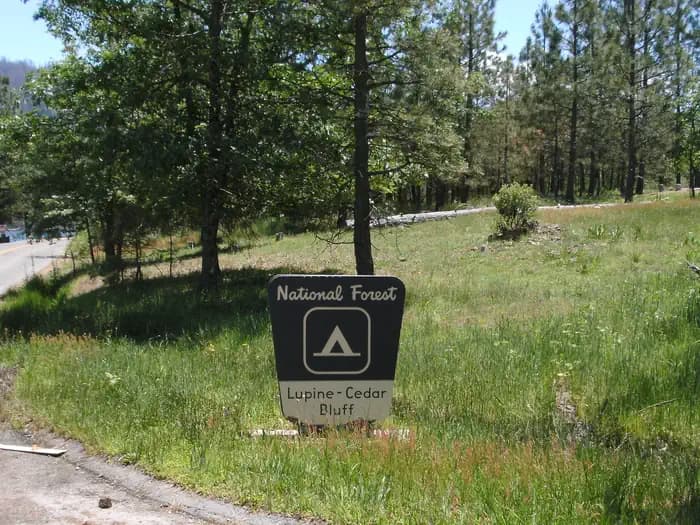 LUPINE campground