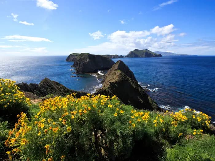 ANACAPA ISLAND campground