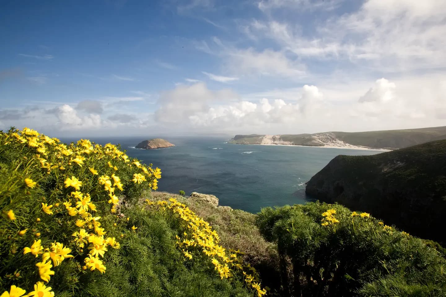 SAN MIGUEL ISLAND campground