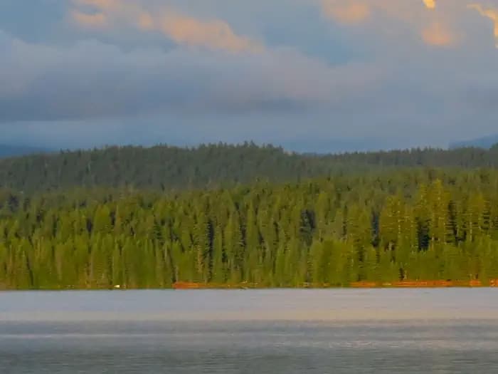 Oak Fork Campground (Timothy Lake, OR) campground