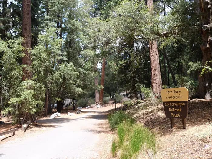 FERN BASIN campground