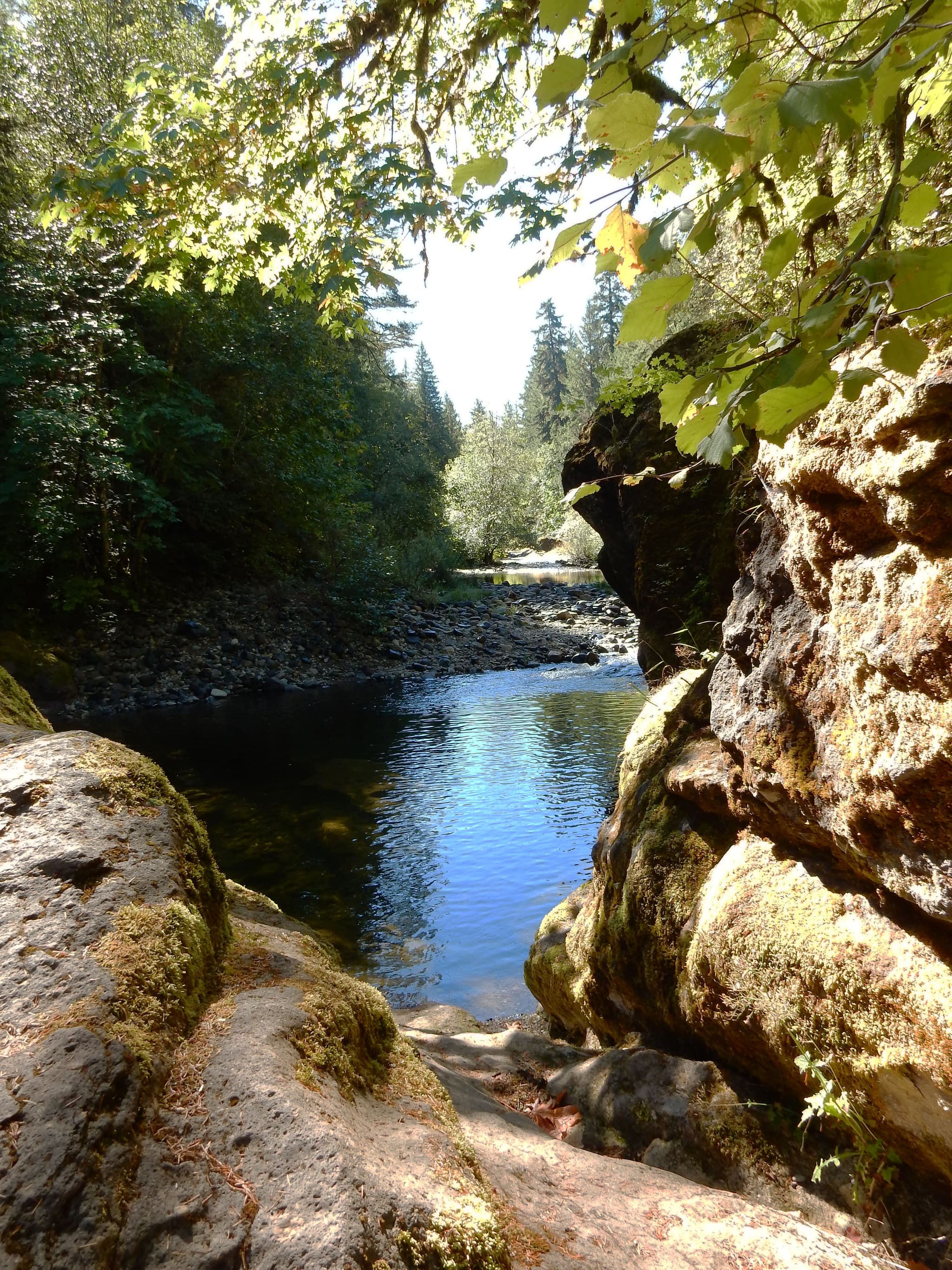 Sharps Creek Recreation Site campground