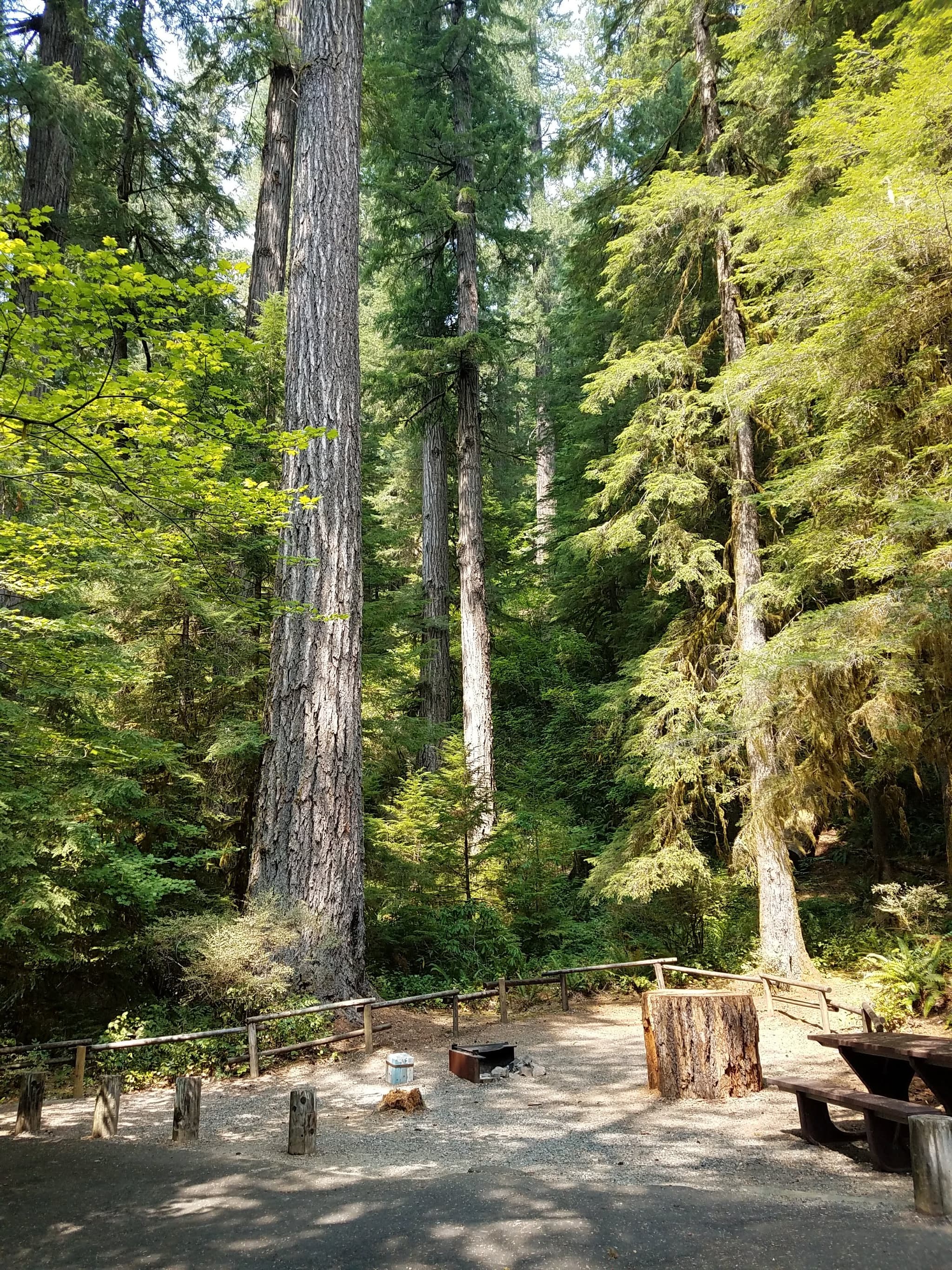 Yellowbottom Recreation Site campground