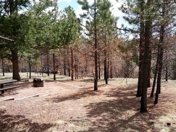 THUNDER RIDGE campground