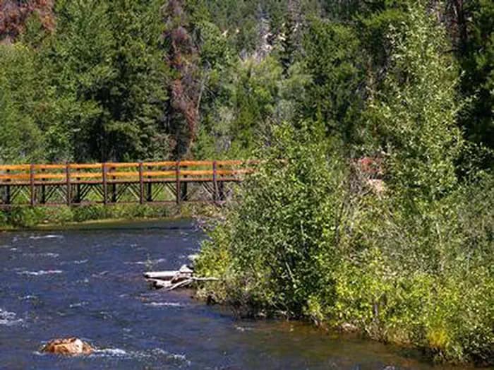 YELLOWPINE campground