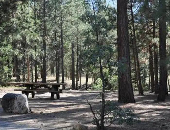 SAN GORGONIO campground